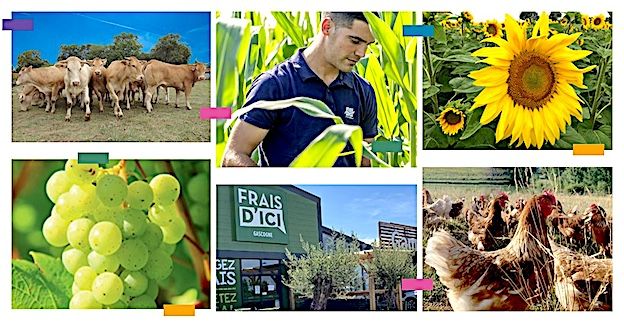 EN FUSION - Vivadour et Terres du Sud autorisés à s’associer